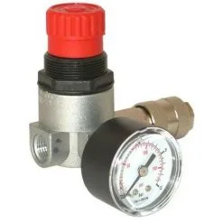 Lacme - Détendeur Micron 1/4 F 0-12 Bar