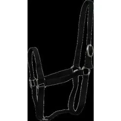 LACME Licol Poney Eco Nylon Noir - Lacmé