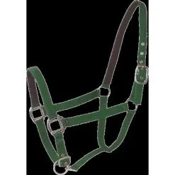 LACME Licol Poney Double Cuir Vert - Lacmé