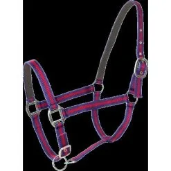 LACME Licol Cheval Double Cuir - Lacmé