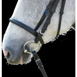 LACME Mors Cheval Acier 135mm - Lacmé